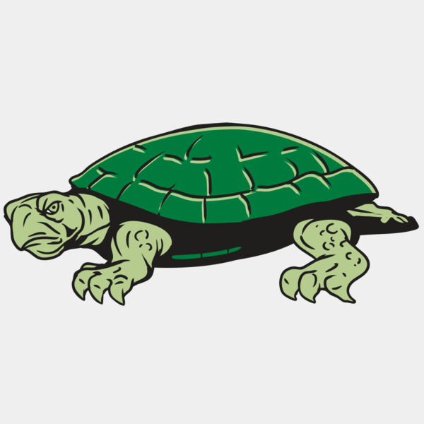 AR32 TURTLE 01 RQC Thumbnail