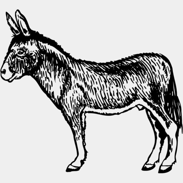 BURRO004 Thumbnail