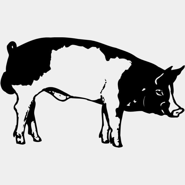 HOG0008 Thumbnail