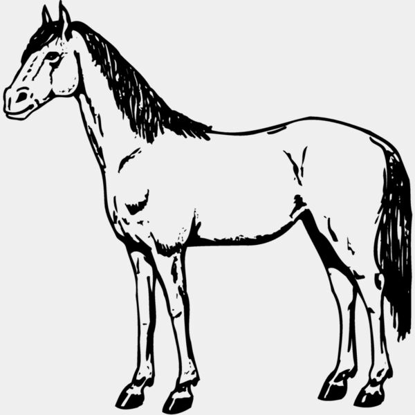 HORSE021 Thumbnail
