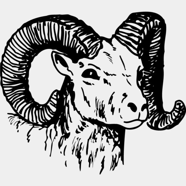 RAM010 Thumbnail