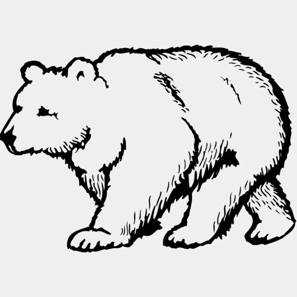 BEAR017 Thumbnail