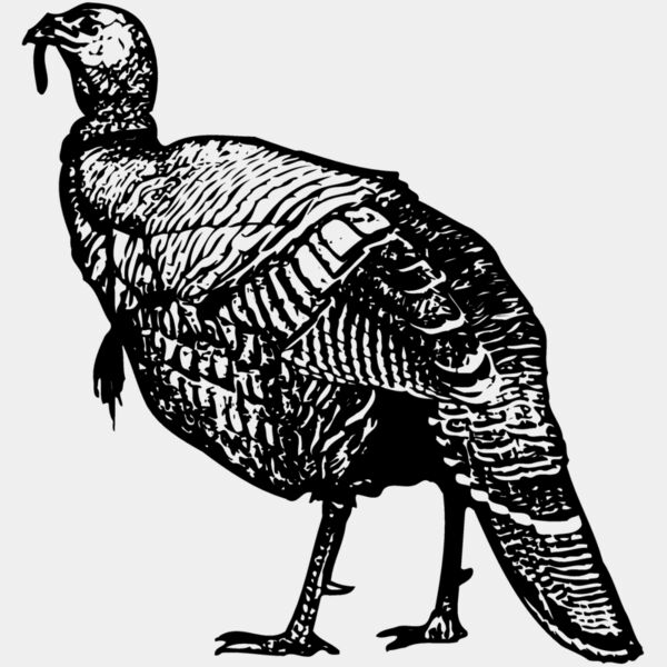BIRD059 Thumbnail