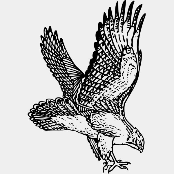 EAGLE026 Thumbnail