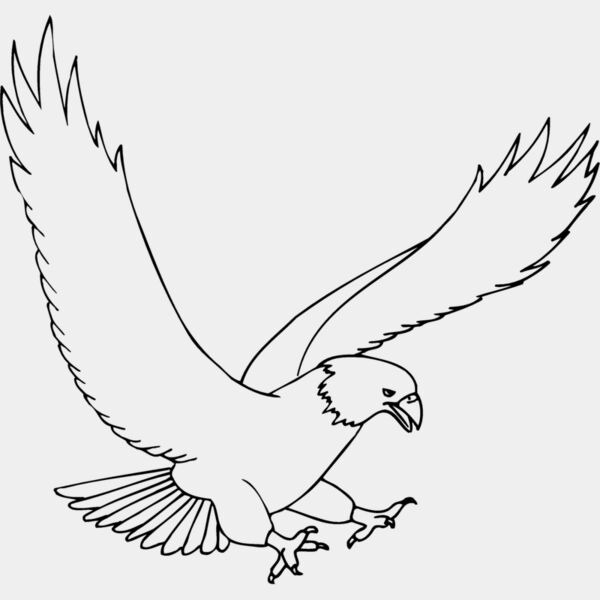 EAGLE43 Thumbnail