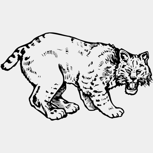 BOBCAT03 Thumbnail