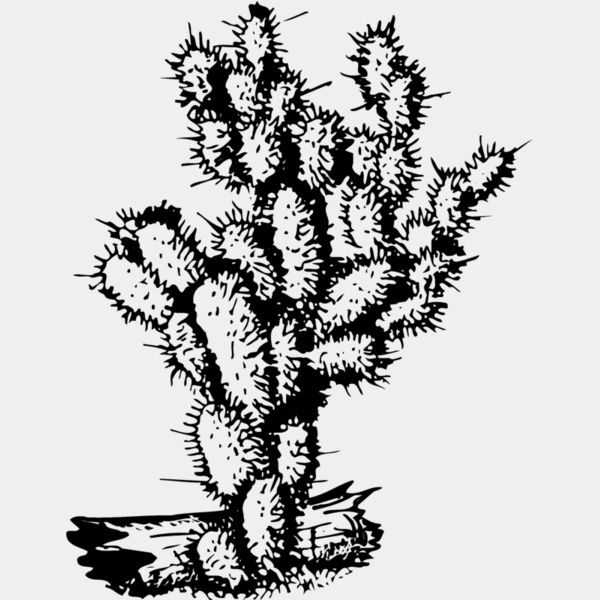 CACTUS09 Thumbnail